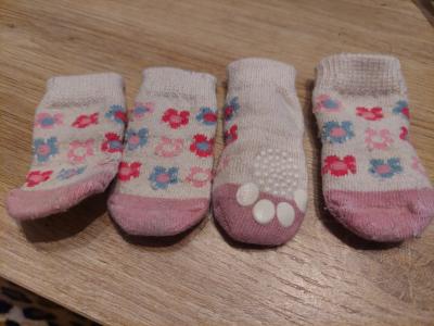 Verschiedene Hundekleidung und Accessoires