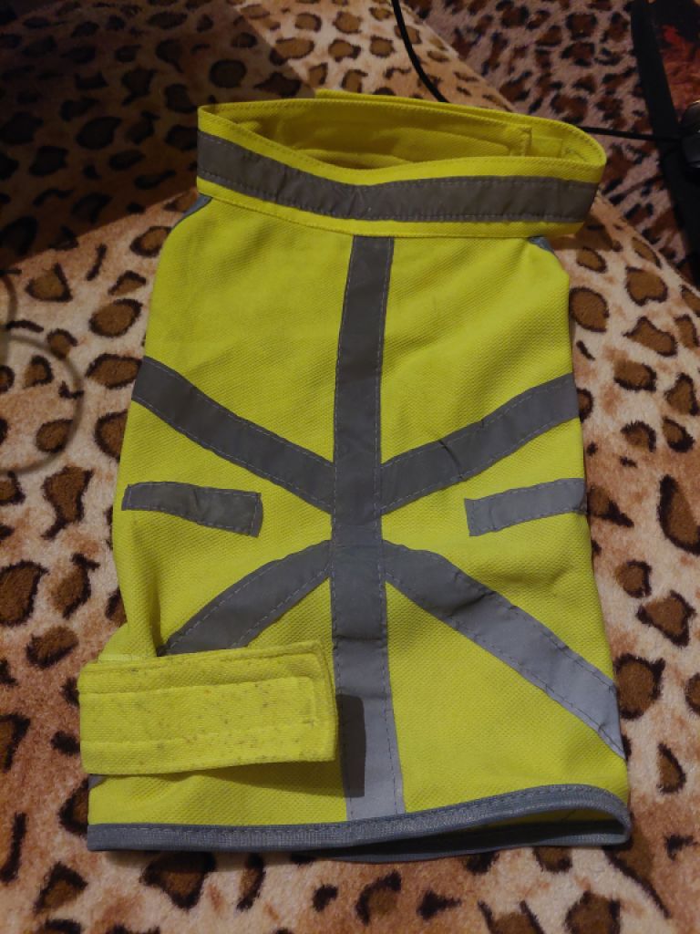 Verschiedene Hundekleidung und Accessoires