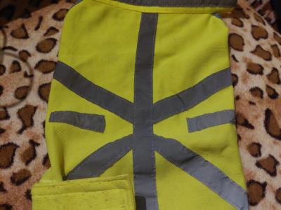 Verschiedene Hundekleidung und Accessoires