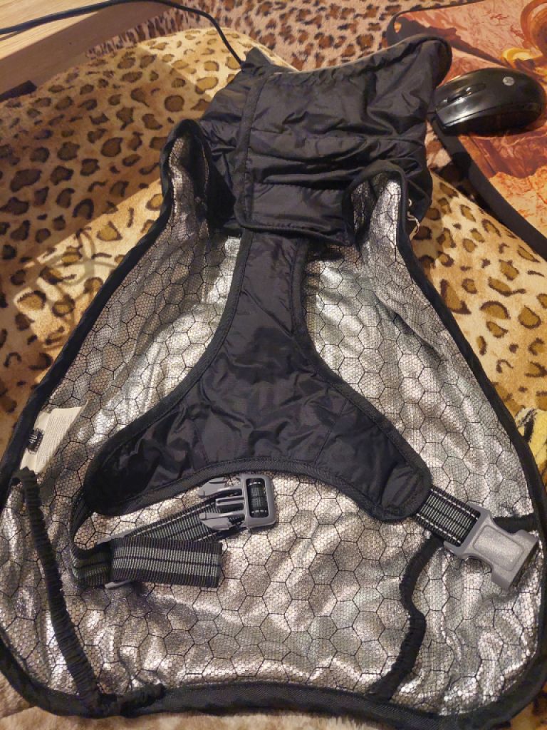 Verschiedene Hundekleidung und Accessoires