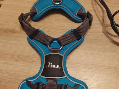 Verschiedene Hundekleidung und Accessoires