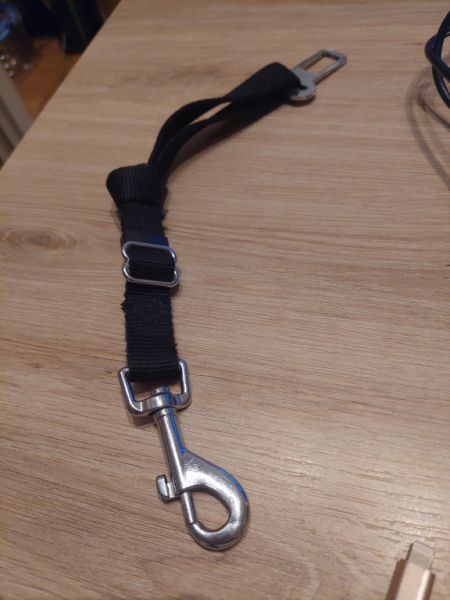 Verschiedene Hundekleidung und Accessoires