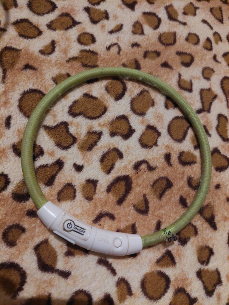 Verschiedene Hundekleidung und Accessoires