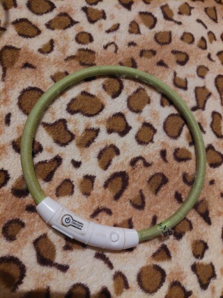 Verschiedene Hundekleidung und Accessoires