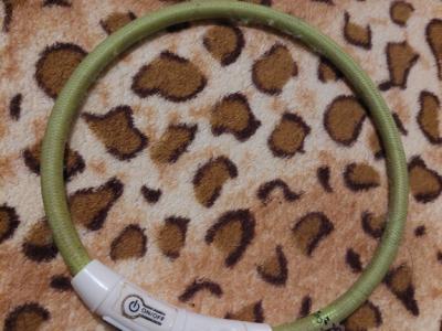 Verschiedene Hundekleidung und Accessoires