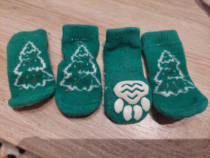 Verschiedene Hundekleidung und Accessoires