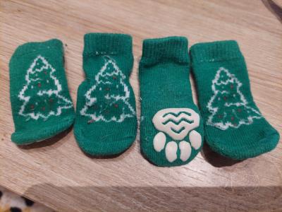 Verschiedene Hundekleidung und Accessoires