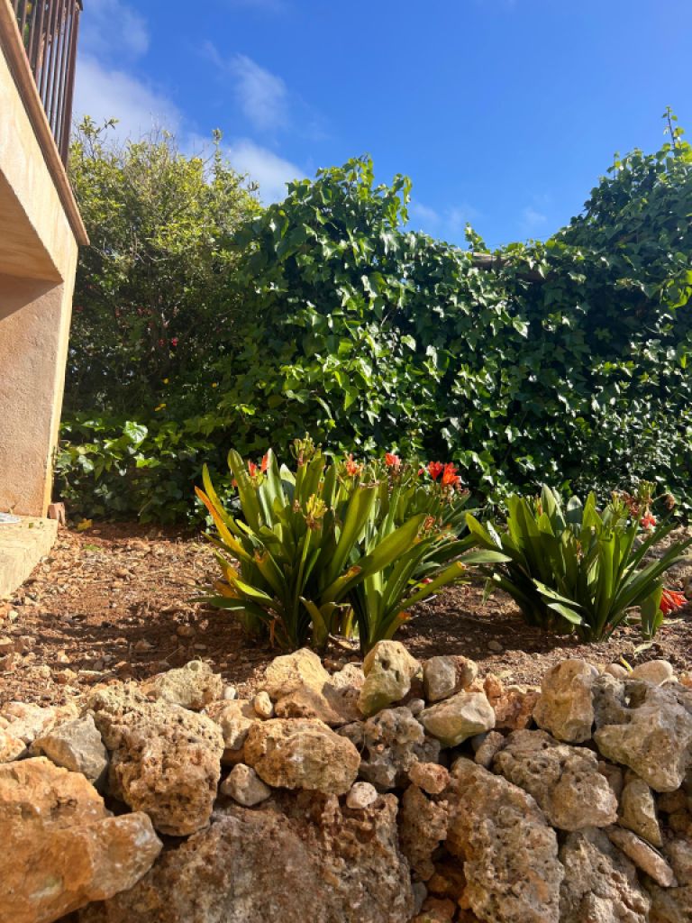 Villa con apartamento vacacional y estudio en alquiler en Porto Cristo