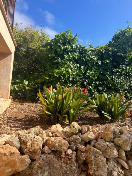 Villa con apartamento vacacional y estudio en alquiler en Porto Cristo