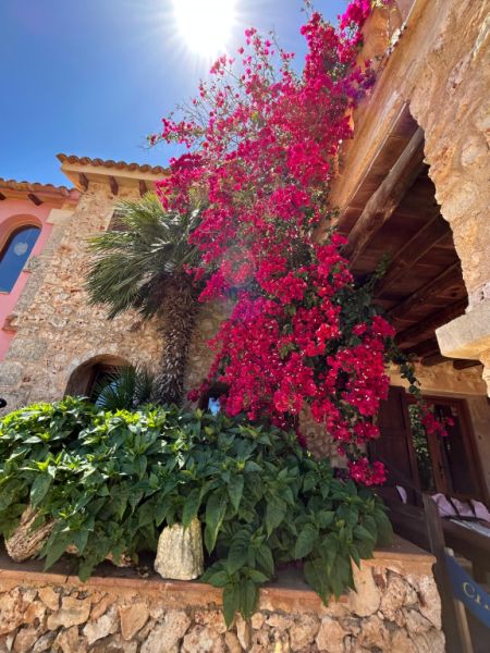 Villa con apartamento vacacional y estudio en alquiler en Porto Cristo