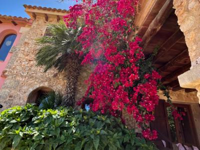 Villa con apartamento vacacional y estudio en alquiler en Porto Cristo