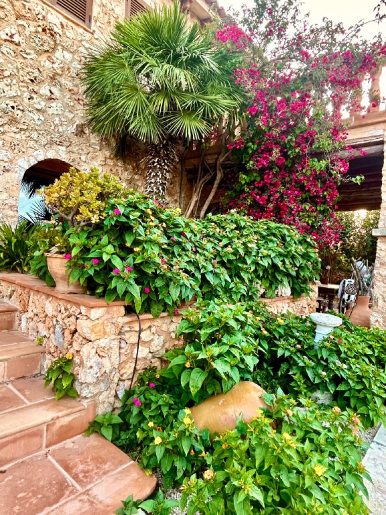 Villa con apartamento vacacional y estudio en alquiler en Porto Cristo