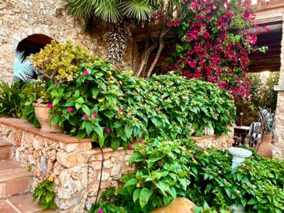 Villa con apartamento vacacional y estudio en alquiler en Porto Cristo