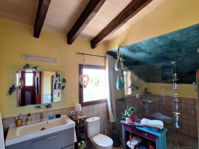 Villa con apartamento vacacional y estudio en alquiler en Porto Cristo