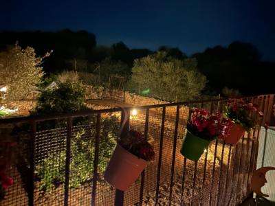 Villa con apartamento vacacional y estudio en alquiler en Porto Cristo