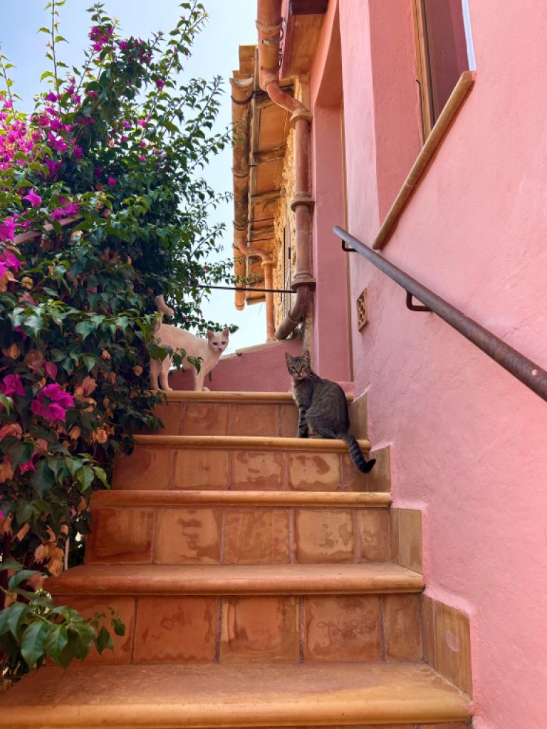 Villa con apartamento vacacional y estudio en alquiler en Porto Cristo