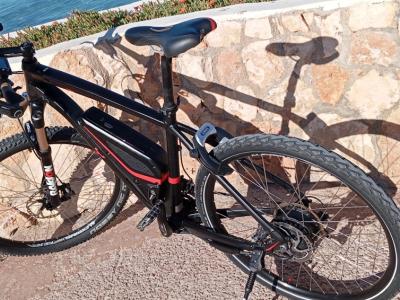 Vollblut 500-SE Flyer Electric Bike