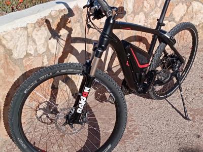 Vollblut 500-SE Flyer Electric Bike