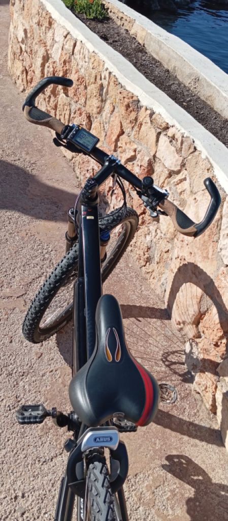 Vollblut 500-SE Flyer Electric Bike