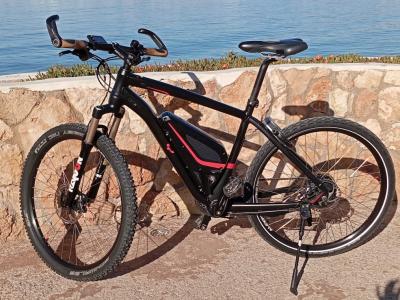 Vollblut 500-SE Flyer Electric Bike