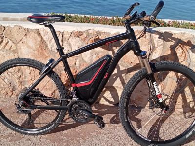 Vollblut 500-SE Flyer Electric Bike