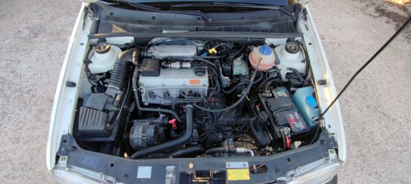 VW Golf III GTI 1993 korrosionsfrei im Top-Zustand mit Klima