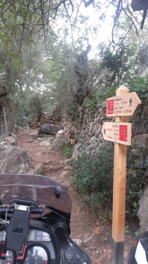 Se busca compañero/a de senderismo