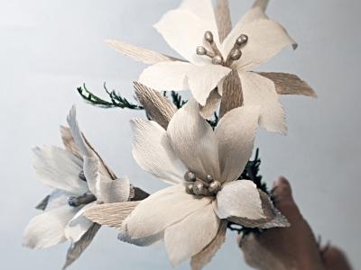 Christmas Poinsettia