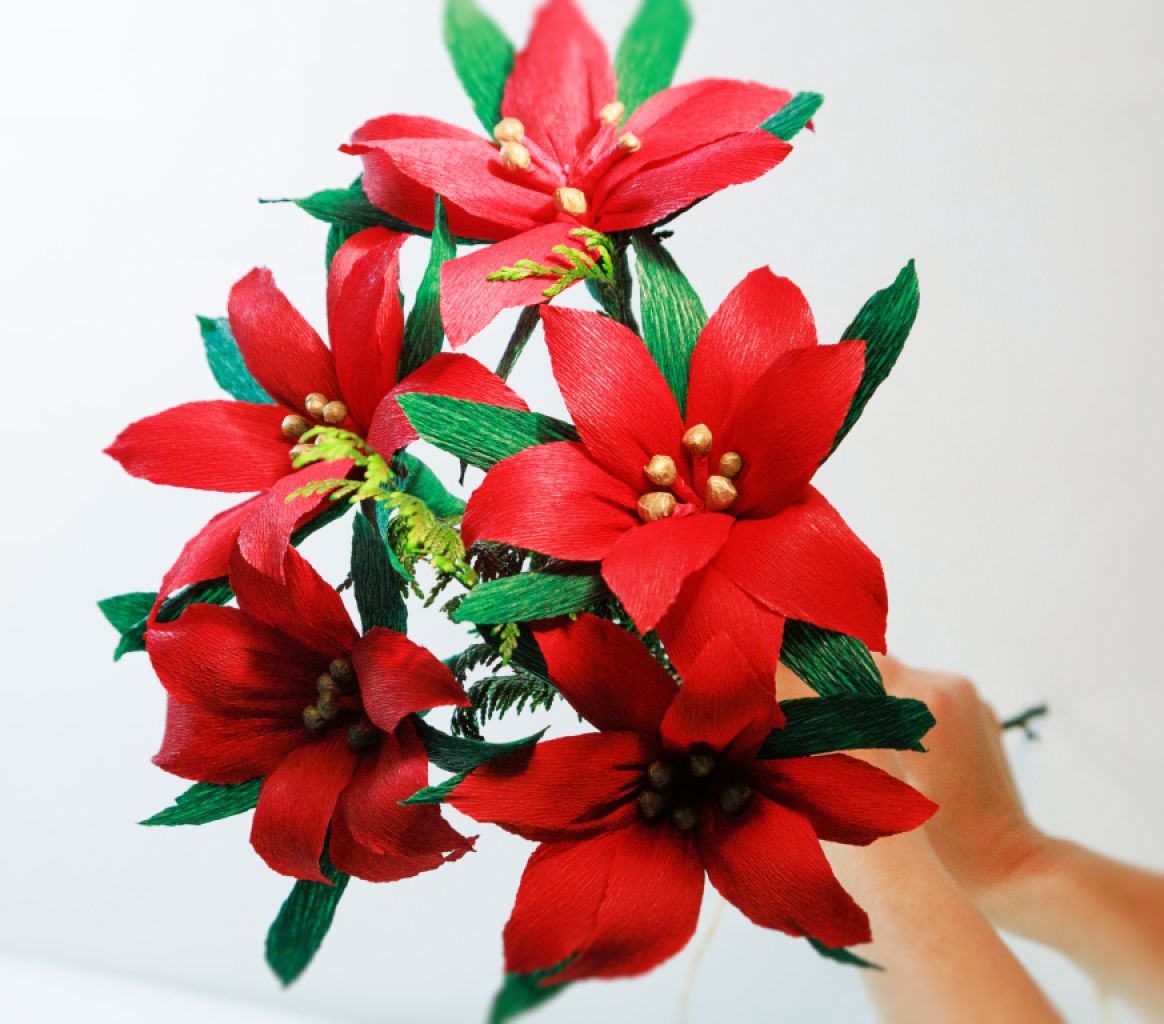 Christmas Poinsettia