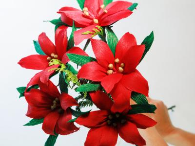Christmas Poinsettia