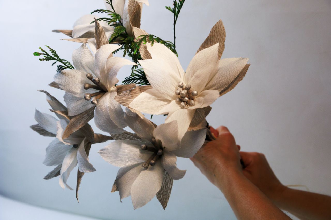 Christmas Poinsettia