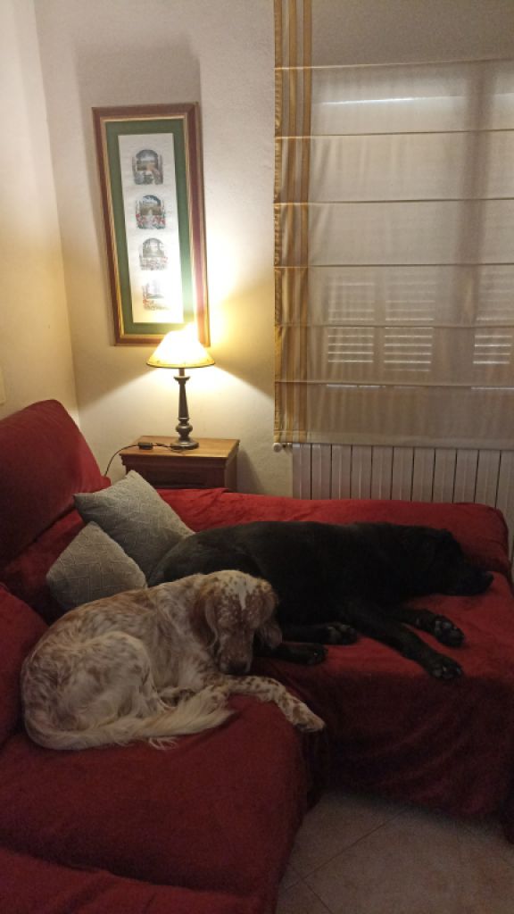 Se alquila habitación en una casa con una hermosa ubicación en las afueras de Campanet/Mallorca