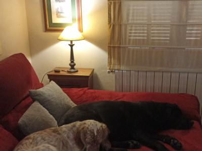 Se alquila habitación en una casa con una hermosa ubicación en las afueras de Campanet/Mallorca