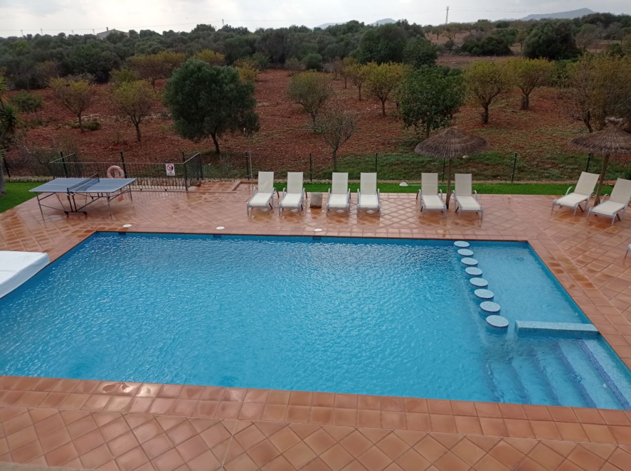 Winter: Grosse Finca mit Heizung, Pool bei S Horta - Mallorca -- F 181 WT