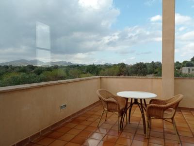 Winter: Grosse Finca mit Heizung, Pool bei S Horta - Mallorca -- F 181 WT