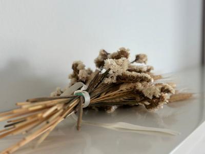 Winter: Modernes Apartment mit Teilmeerblick und AC in Can Picafort -- AP 15 WT