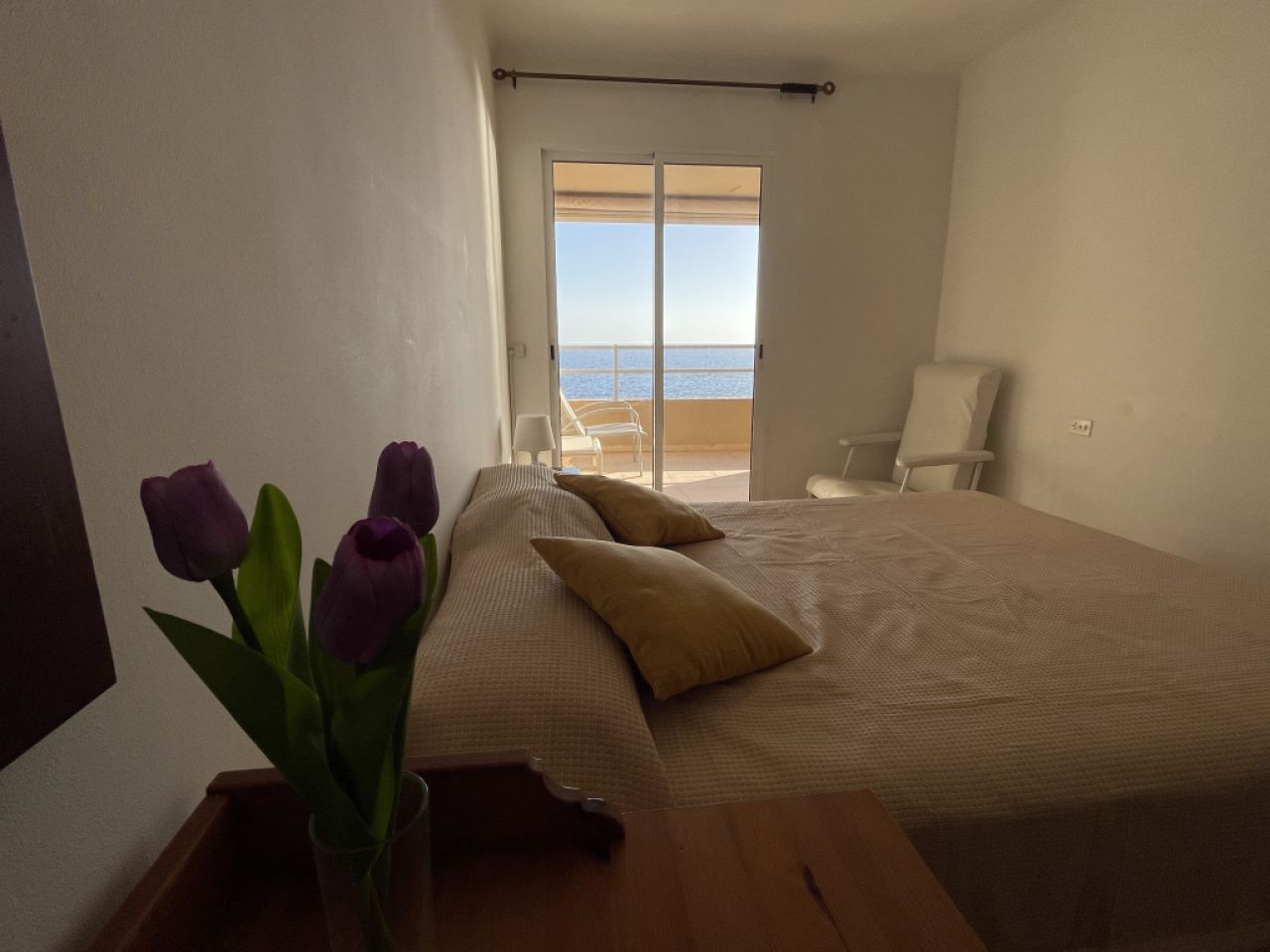 Winter: Sonniges Apartment mit Terrasse in 1. Linie von Sa Rapita -- AP 06 WT