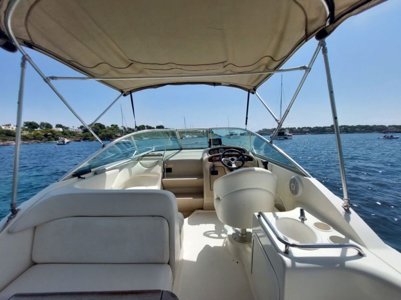 PRECIO DE INVIERNO: Embarcación a motor Sea Ray 260 Sundancer con amarre hasta marzo