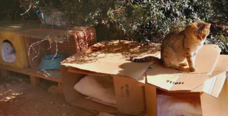 Wir haben H U N G E R