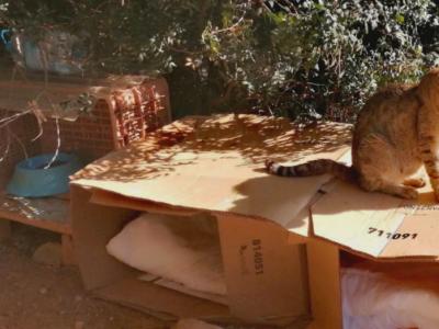 Wir haben H U N G E R