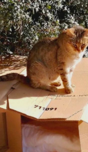 Wir haben H U N G E R