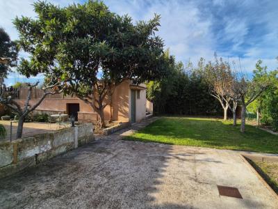 Hermosa finca en alquiler de larga duración en San Lorenzo