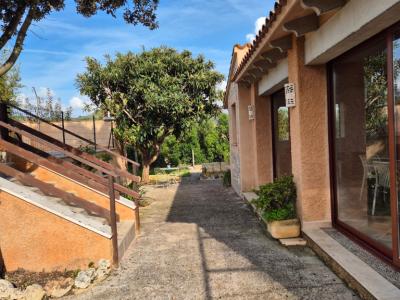 Hermosa finca en alquiler de larga duración en San Lorenzo