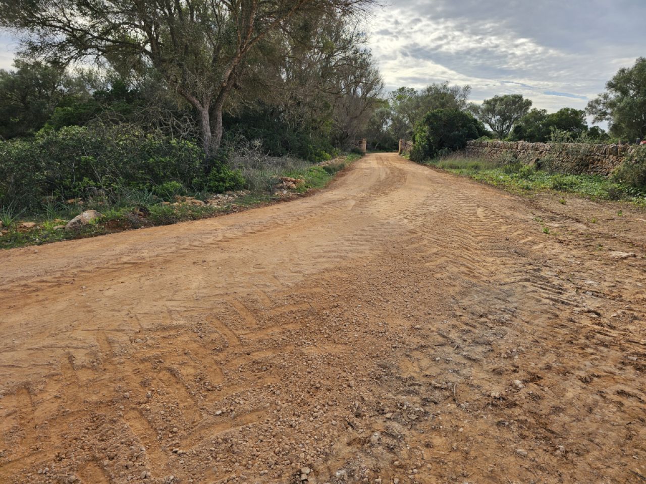 Zerkleinerung von Steinen, Bauschutt und Aushubmaterial.