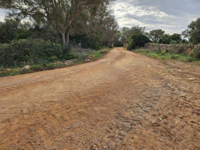Zerkleinerung von Steinen, Bauschutt und Aushubmaterial.
