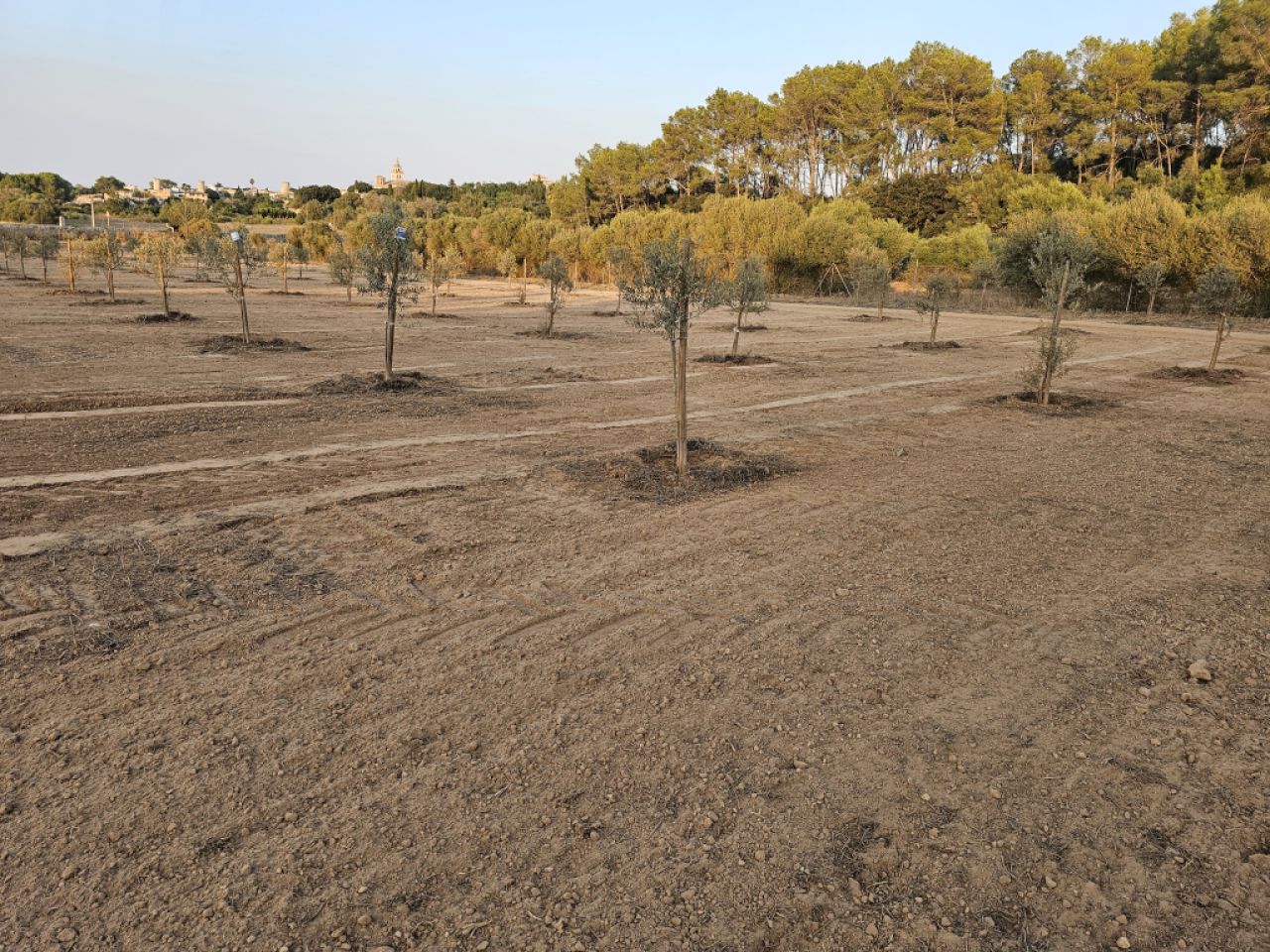 Zerkleinerung von Steinen, Bauschutt und Aushubmaterial.
