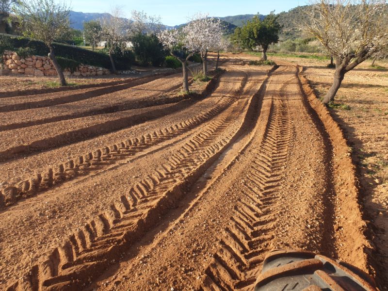 Zerkleinerung von Steinen, Bauschutt und Aushubmaterial.