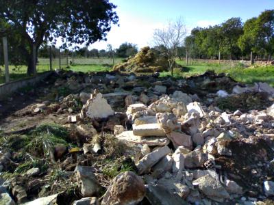 Zerkleinerung von Steinen, Bauschutt und Aushubmaterial.