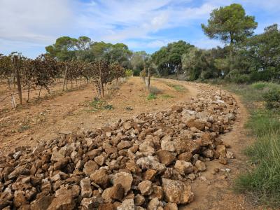 Zerkleinerung von Steinen, Bauschutt und Aushubmaterial.