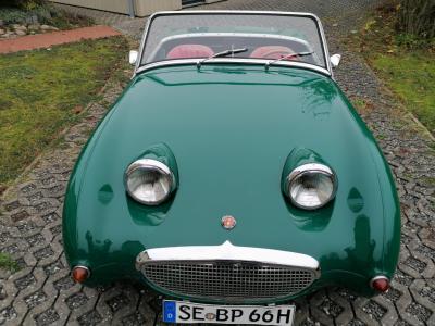 En venta Austin Healey Sprite "Frogeye"